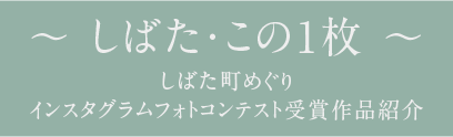 フォトコン