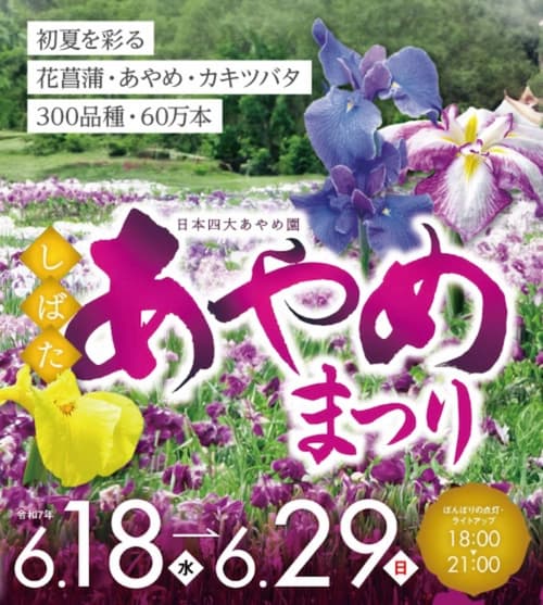 令和7年 しばたあやめまつり 6月18日~6月29日 開催!