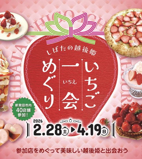 しばたの越後姫 いちご一会めぐり 2026