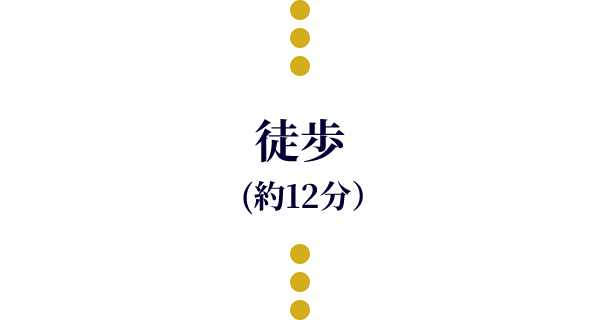 徒歩 (約12分)