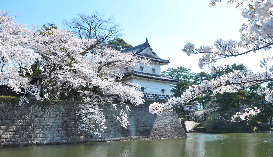 Cool Shibata｜시바타 마치메구리 image