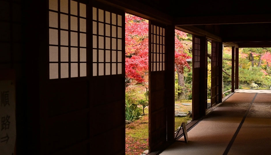 Cool Shibata｜시바타 마치메구리 image