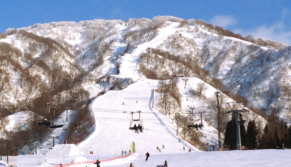 Cool Shibata｜시바타 마치메구리 image