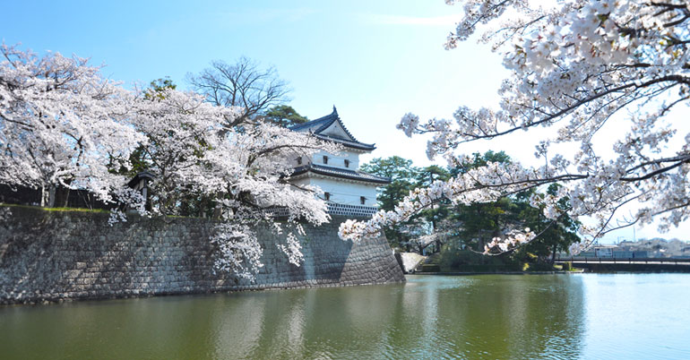 Cool Shibata｜시바타 마치메구리 image