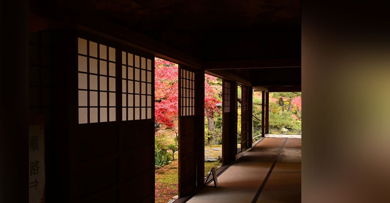 Cool Shibata｜시바타 마치메구리 image