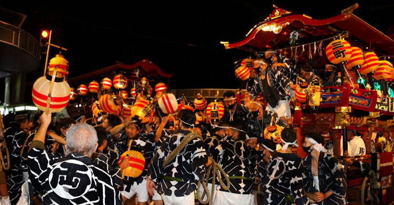 Cool Shibata｜시바타 마치메구리 image