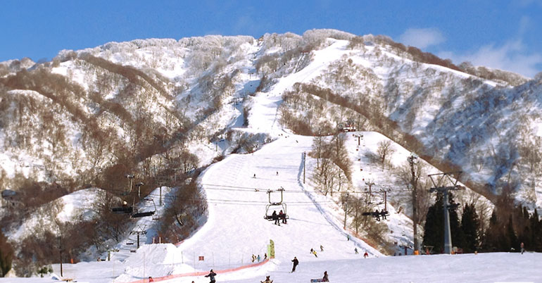 Cool Shibata｜시바타 마치메구리 image