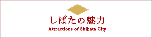 Cool Shibata｜시바타 마치메구리 image